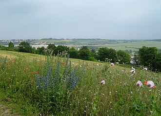 Kent Downs AONB